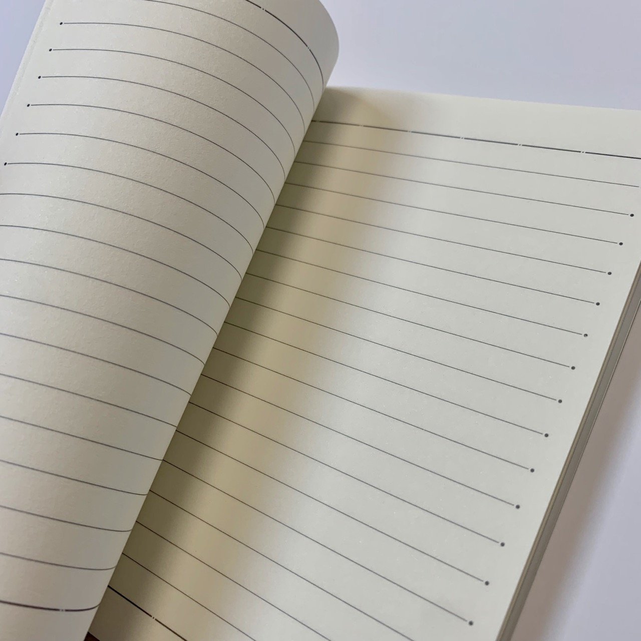 Apostrophe Business Notebook