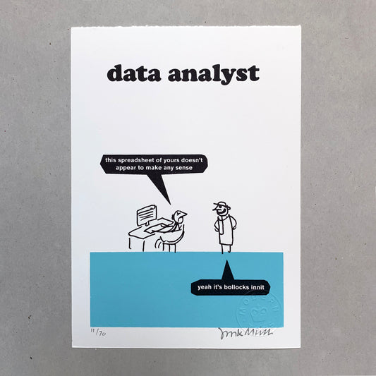 Data Analyst Screen Print