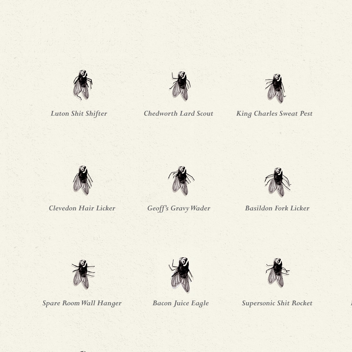 Flies of British Isles Screen Print