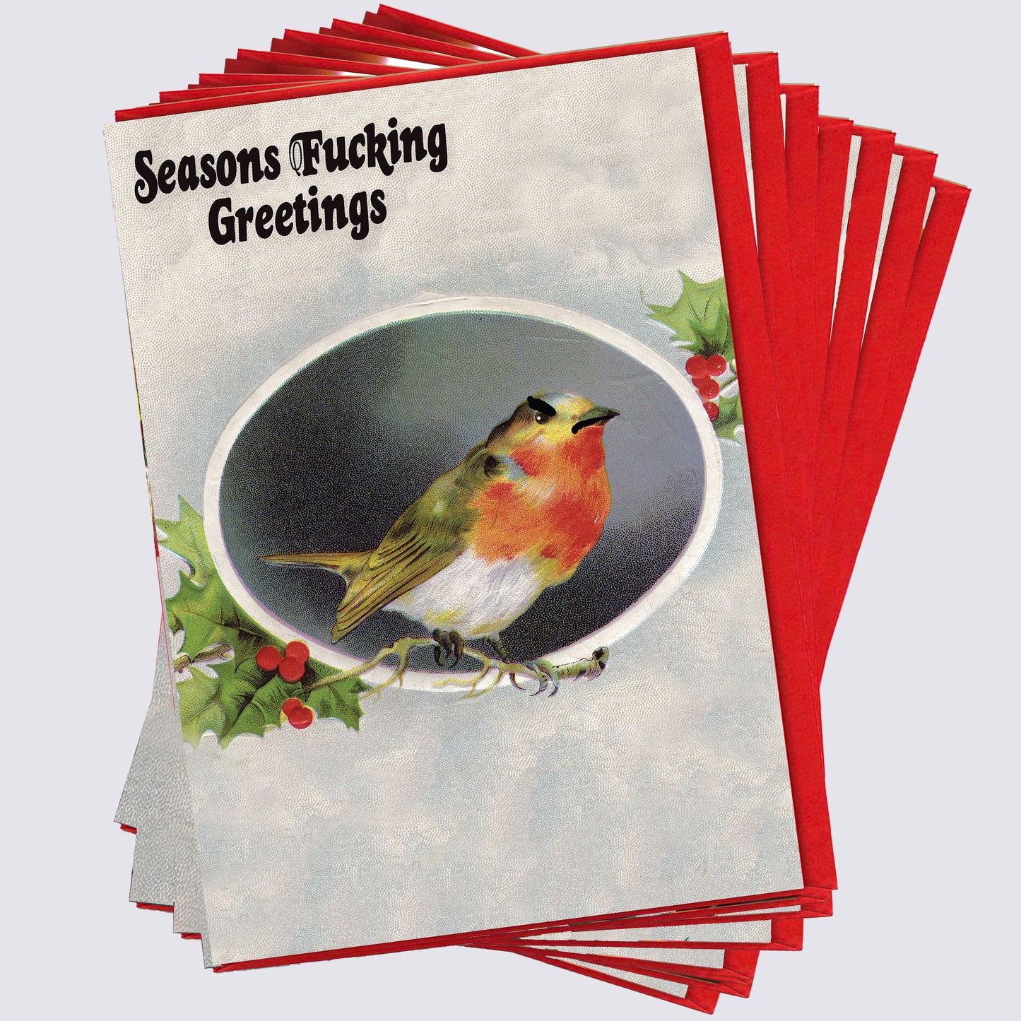Robin Christmas Card Pack